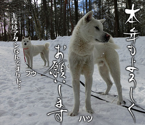 2013010601