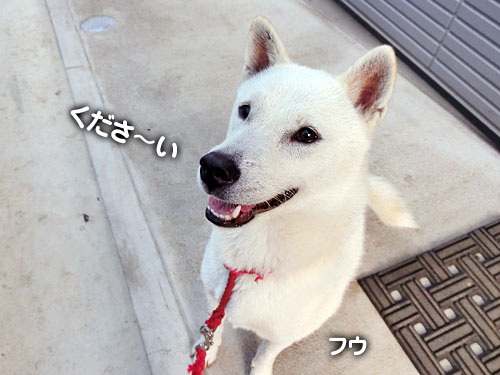 7f5e2f85.jpg