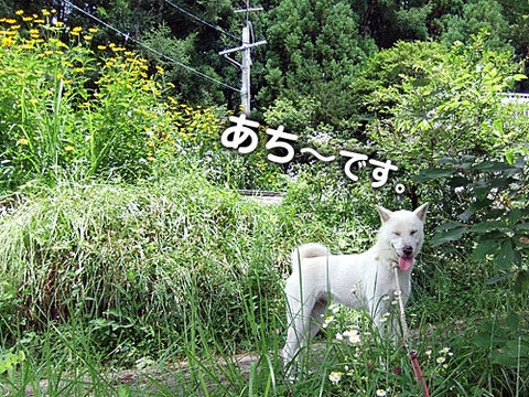 2011080108