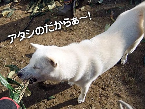 2011110103