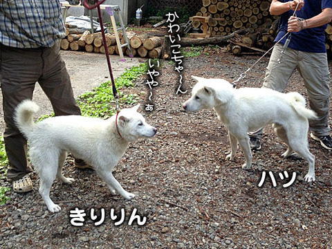 2013061814