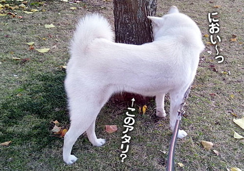 2011112402