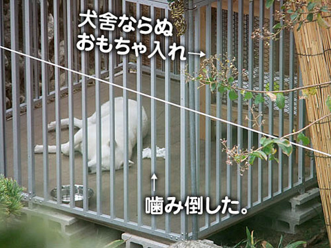 2010102607
