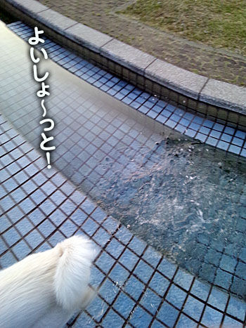 2011071615
