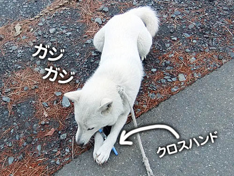 2011020908