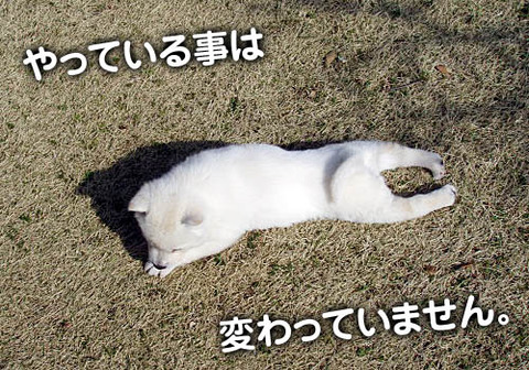 2011021508