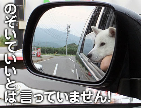 2010062004
