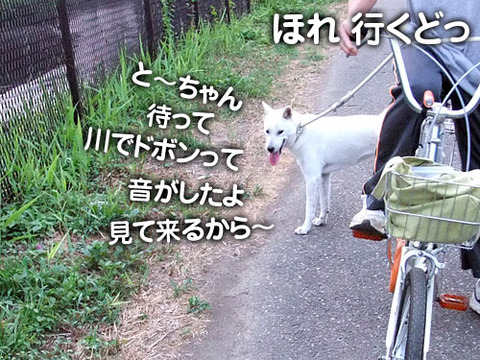 2011081503