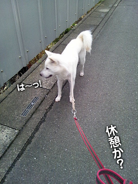 2011073003