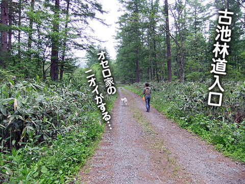 2011061805