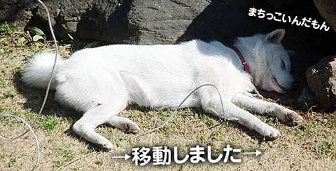 2011032402
