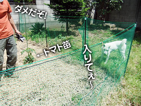 2011051505