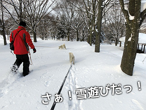 2015011307