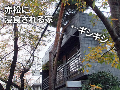 2010112206