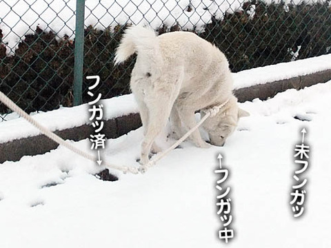 2011021506