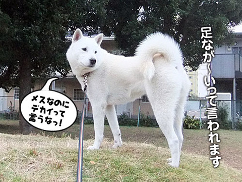 2011111402