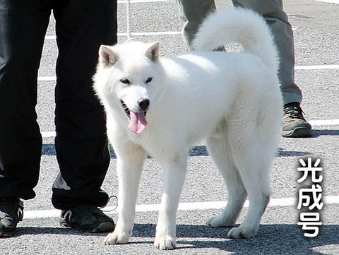 2011031411