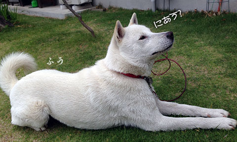 2014052104