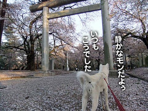 2011041503