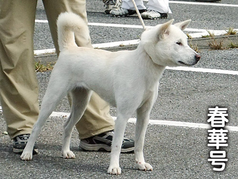 20110925春華