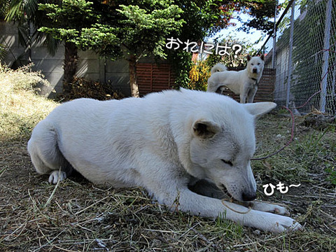 2013050804