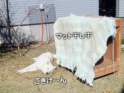 2011121204