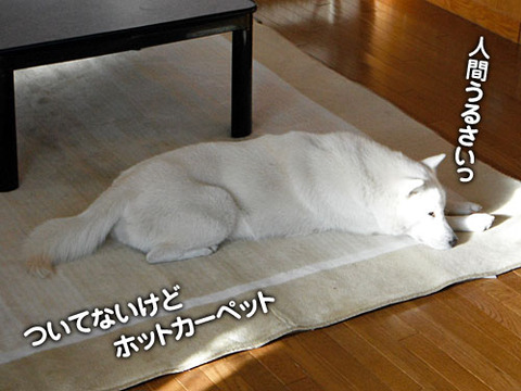 2011120803