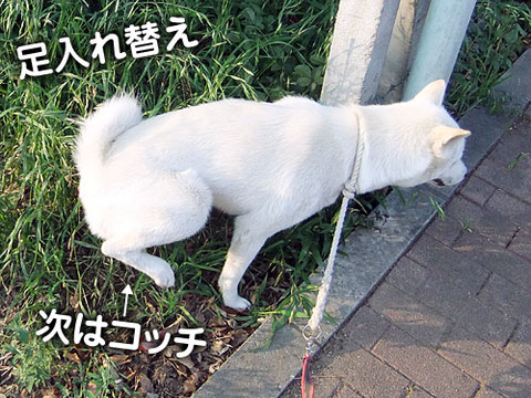 2011060703