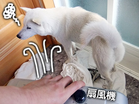 2011062311