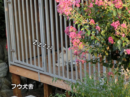 8f86022e.jpg