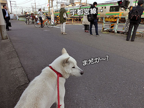 2013041703