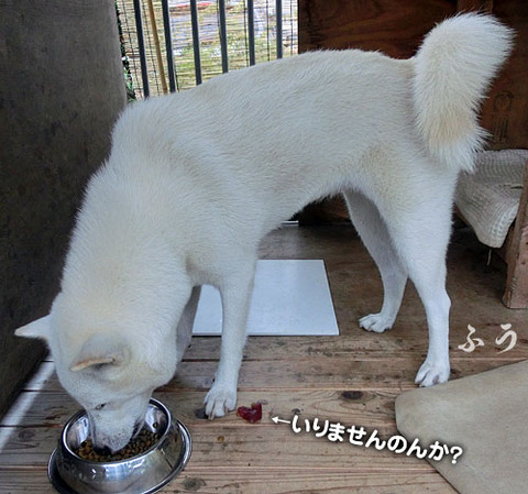 2013082907