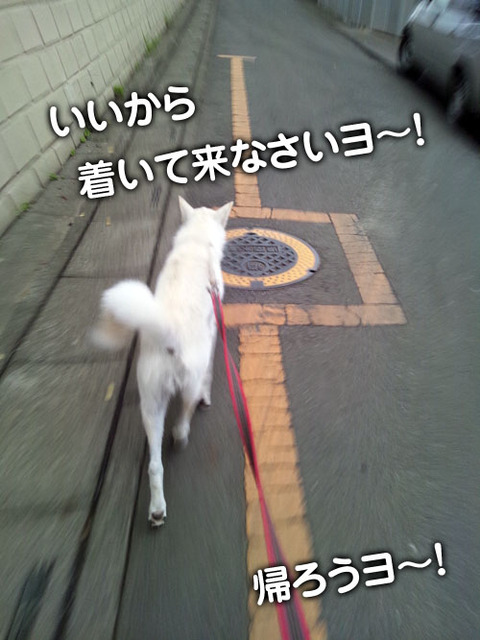 2011073007