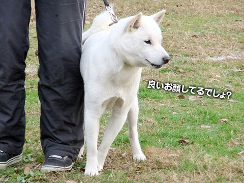 2011112902