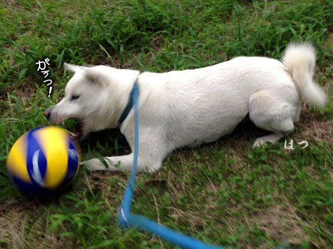 2014090502
