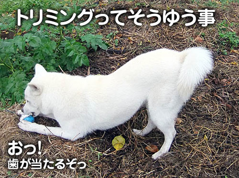 2010111804