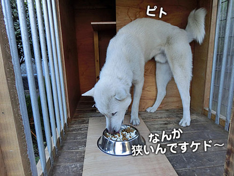 2012121313