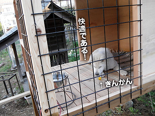 94849fc2.jpg