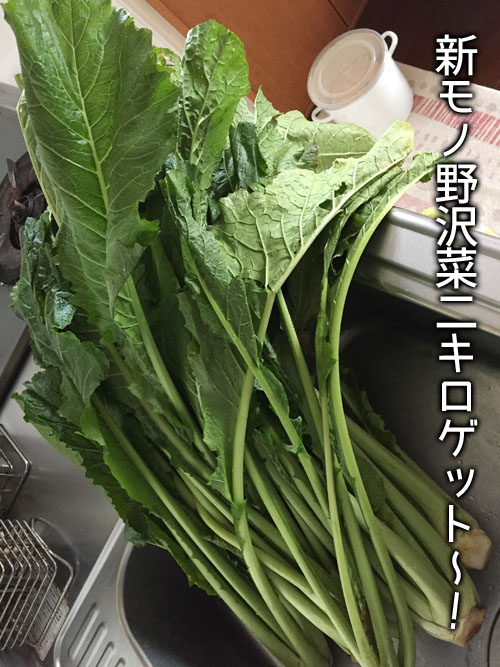 2017121605
