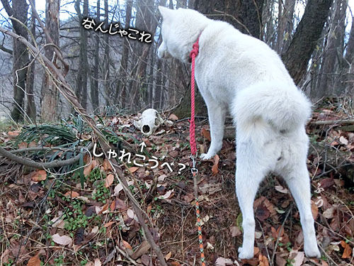 2014121210