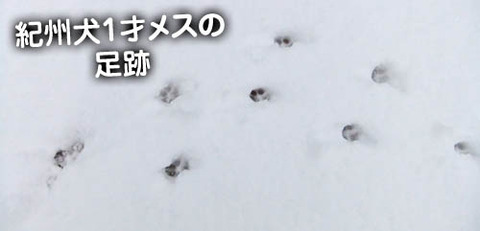 2011021504