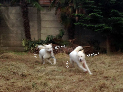 2014052501