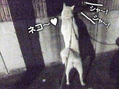 2011012201