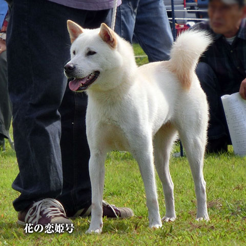 2014092408