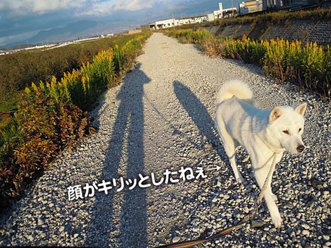 2011120904