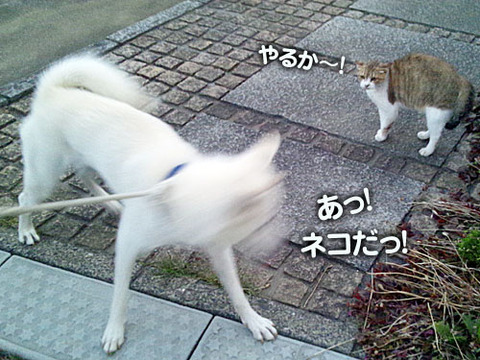 2011071811