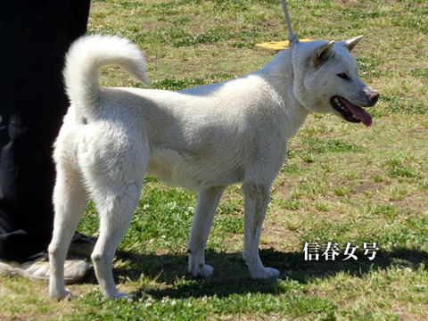 2013051404