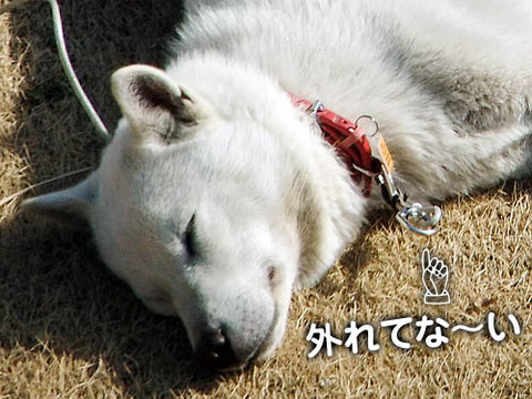 2011022306