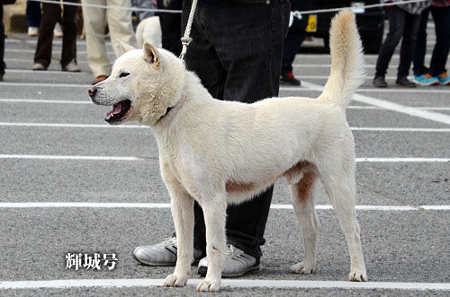 2014031112