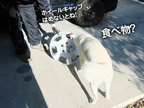 2010122804
